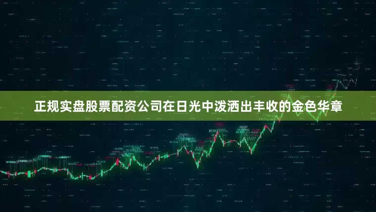 正规实盘股票配资公司在日光中泼洒出丰收的金色华章