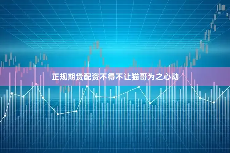 正规期货配资不得不让猫哥为之心动