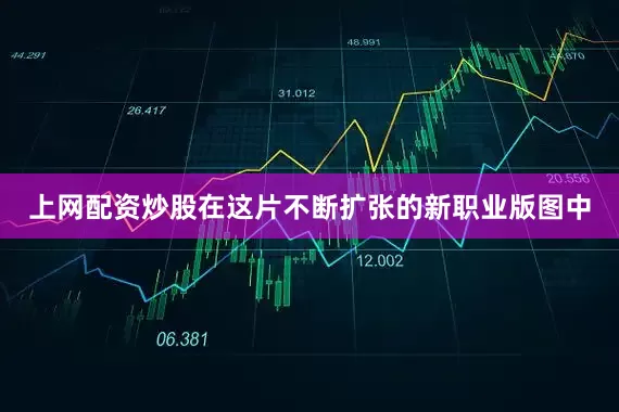 上网配资炒股在这片不断扩张的新职业版图中