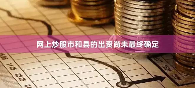 网上炒股市和县的出资尚未最终确定