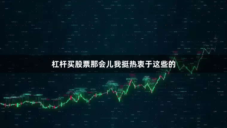 杠杆买股票那会儿我挺热衷于这些的