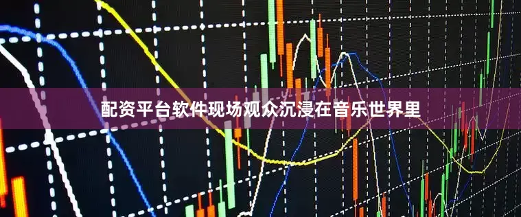 配资平台软件现场观众沉浸在音乐世界里